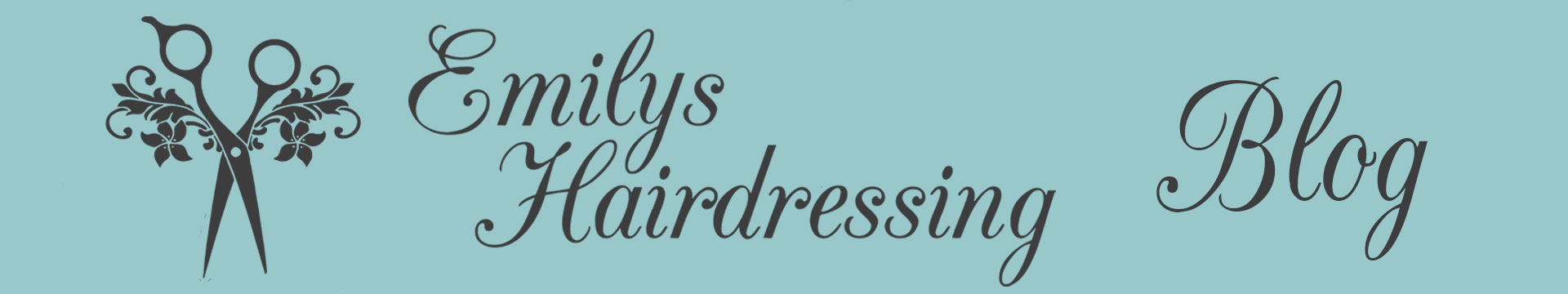 emilys-hairdressing-blog-header-image